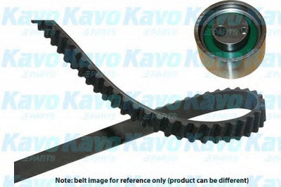 KAVO PARTS dkt8503 -  Комплект ремня ГРМ